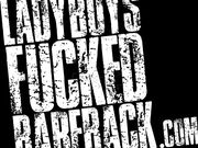 Ladyboys Fucked Bareback - Aemy Hookup Creampie & Keep Fucking